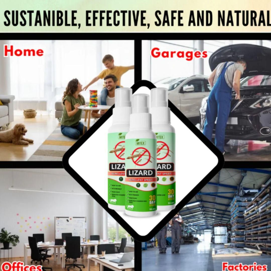 Lizard Repellent Spray 50ML- (Pack of 3)